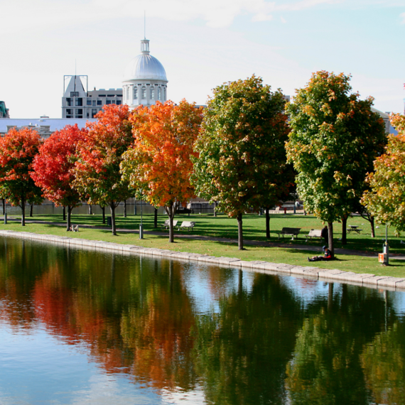 Automne à Montréal