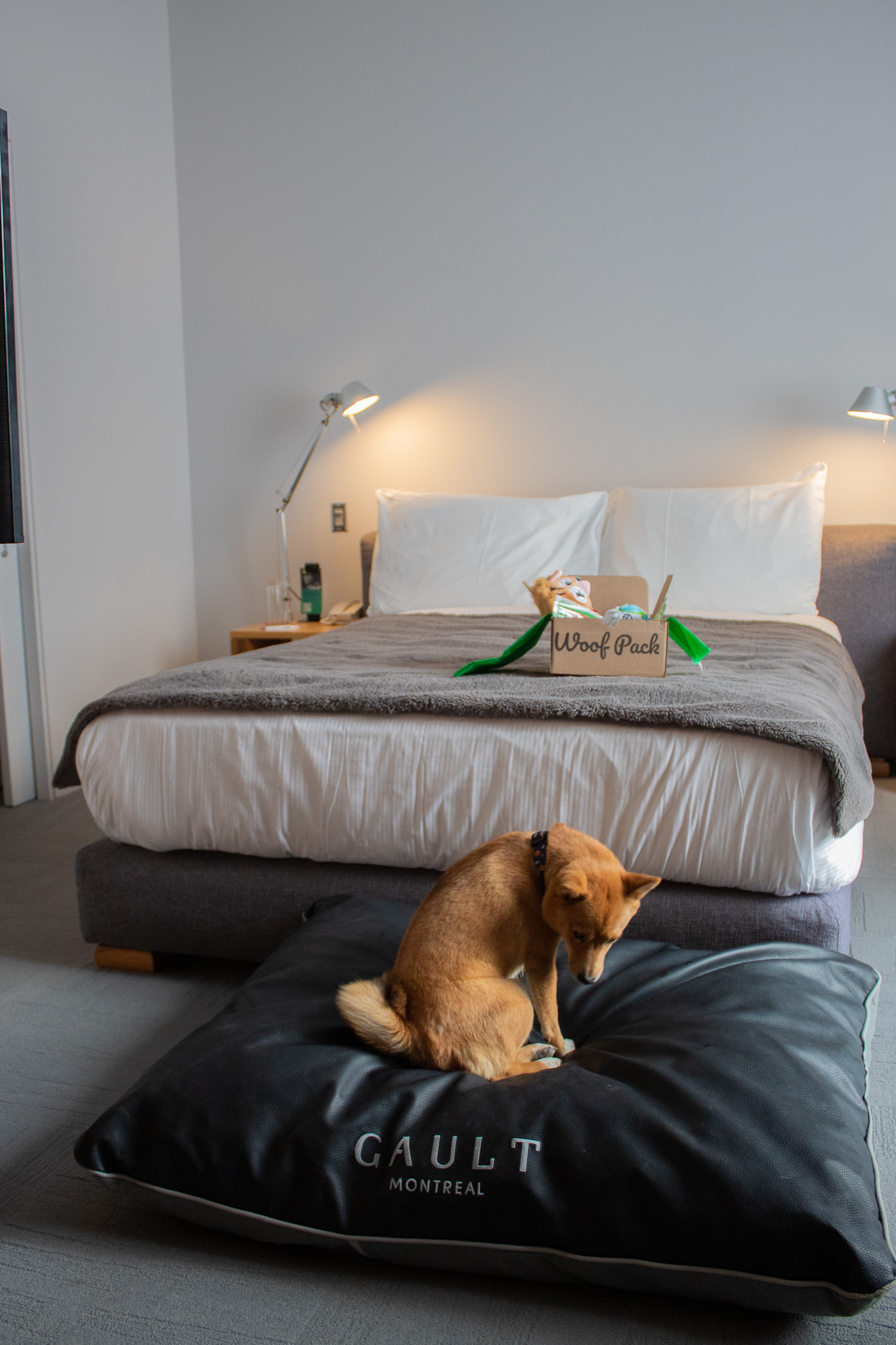 Petfriendly Hotel Gault Montreal