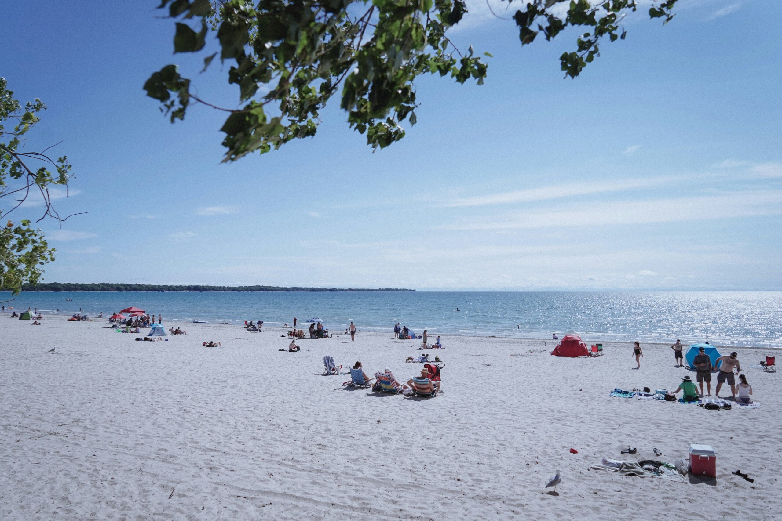 Sandbanks Beach Dunes